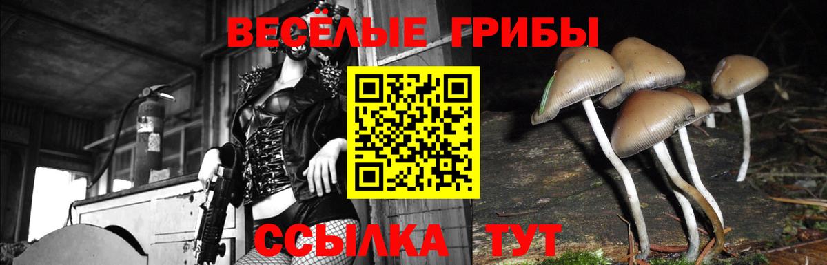 Псилоцибиновые грибы Psilocybine cubensis  цена наркотик  Беслан  Вход с VPN 