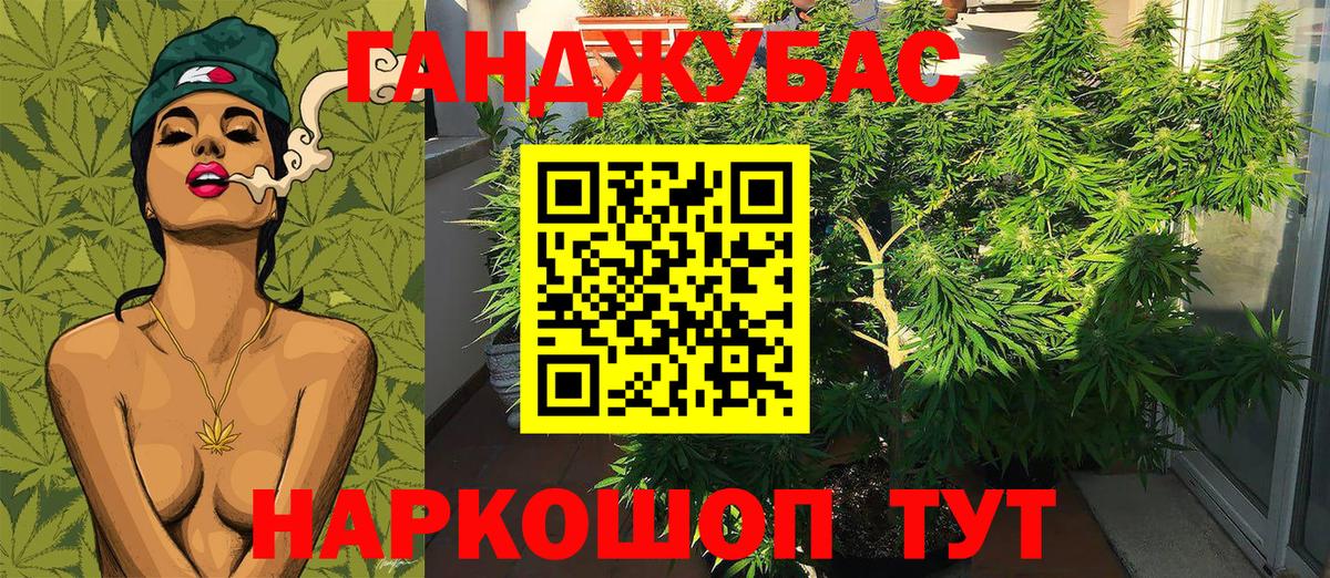 Шишки марихуана гибрид Беслан